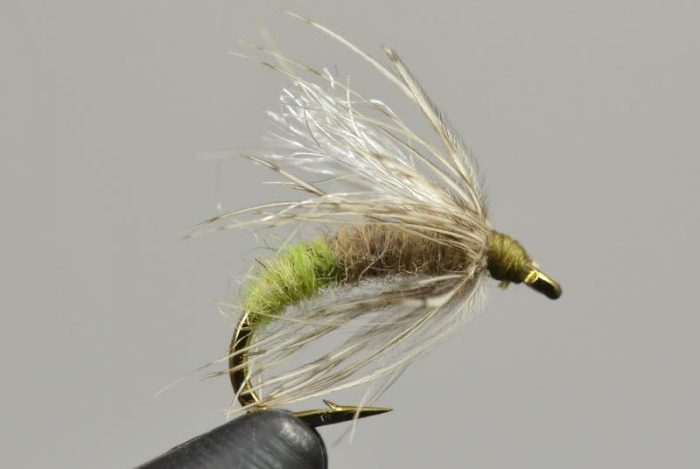 Galloup's Downed Caddis
