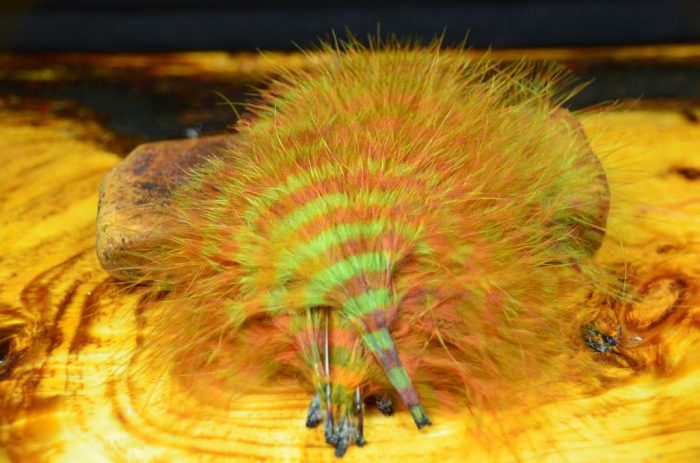 MFC Barred Marabou