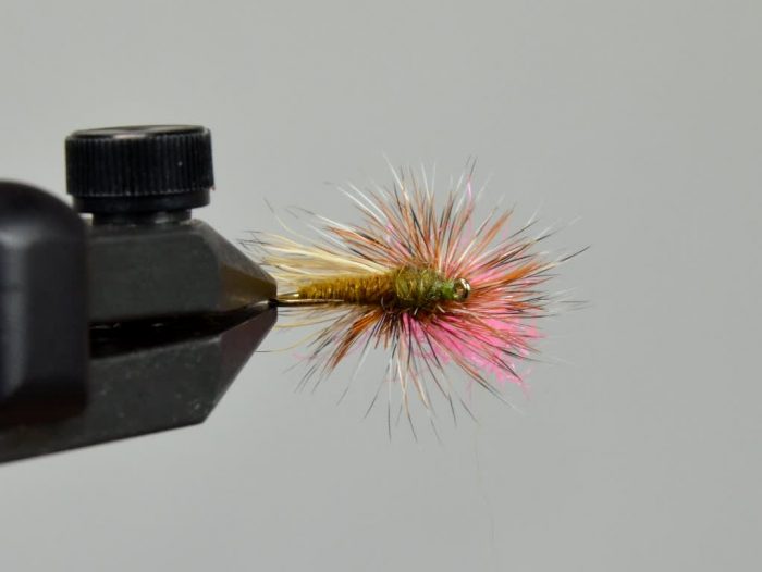 Bloom's Parachute Caddis