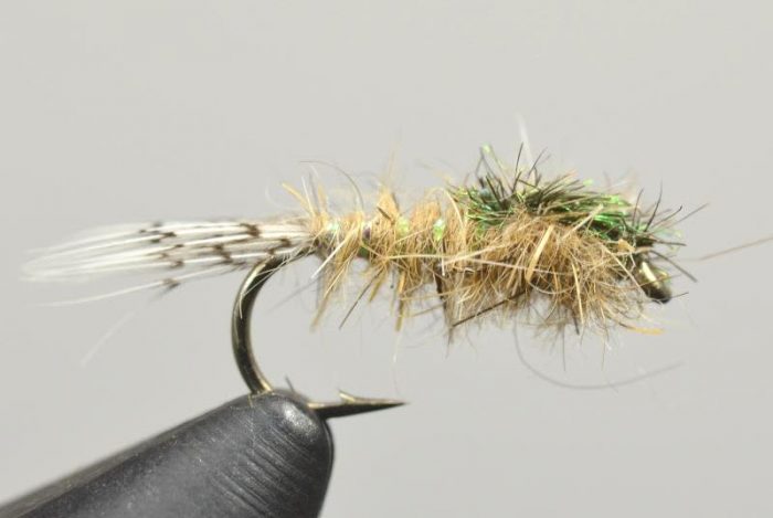 Galloup's Hares Ear