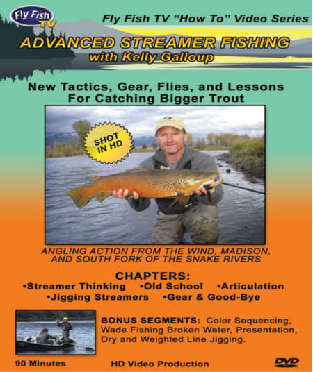 Advanced Streamer Fishing DVD - Guided Fly Fishing Madison River, Lodging