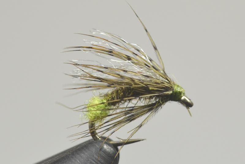 Galloup's Downed Caddis
