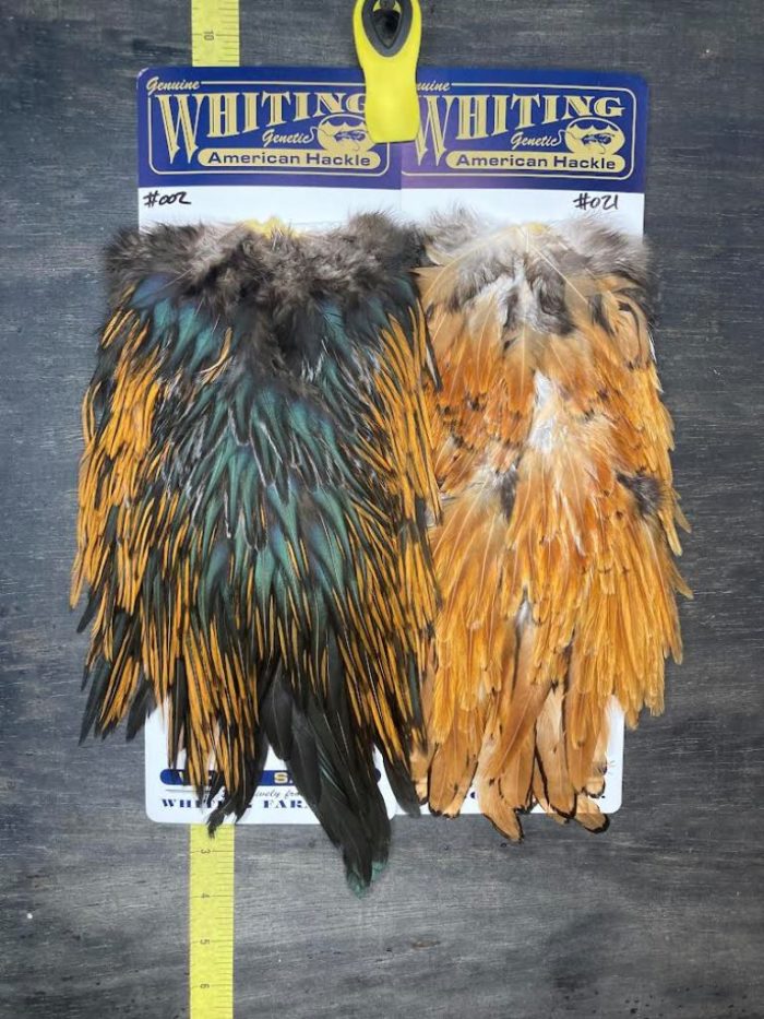 Whiting American Rooster Saddle - Natural Variants