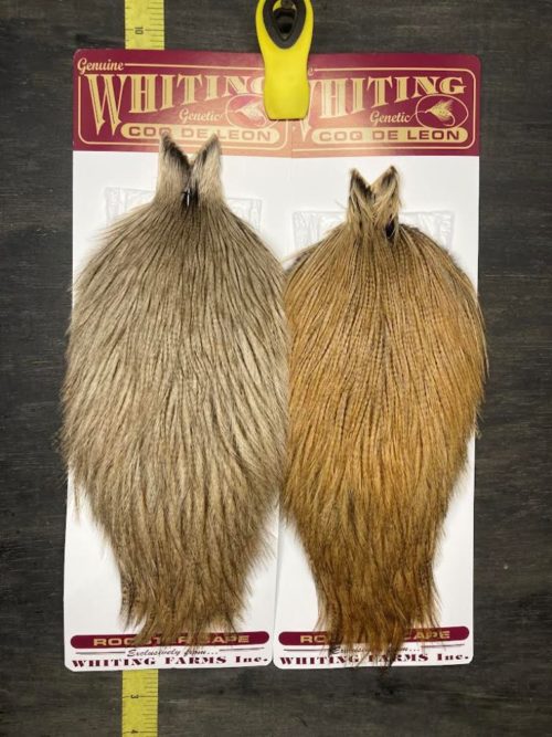 Whiting Coq de Leon Rooster Cape