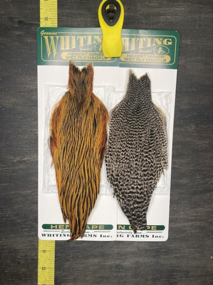 Whiting Hebert Miner Hen Cape