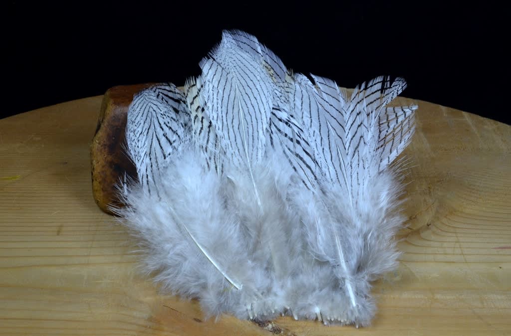 Silver Pheasant Feathers - Guided Fly Fishing Madison River