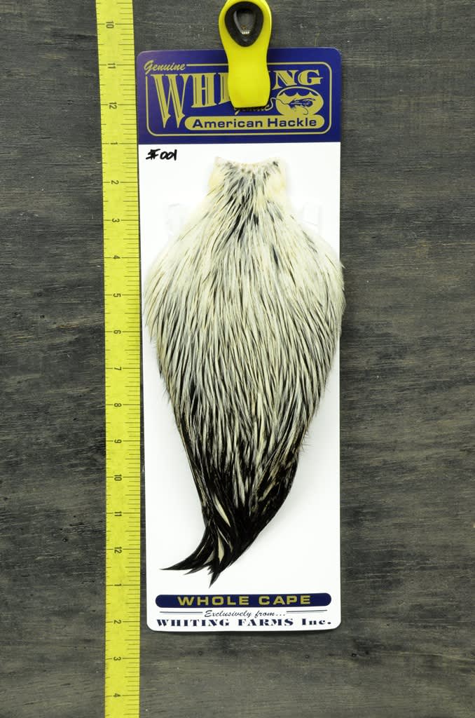 Whiting American Rooster Cape - Black Laced White