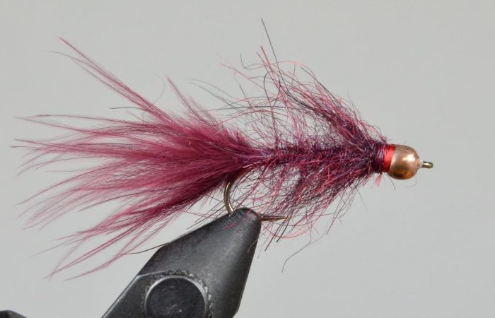 BH Hale Bopp Leech - Image 5