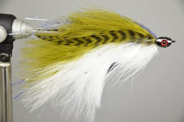 Galloup's Barely Legal Fish Skull - Image 3