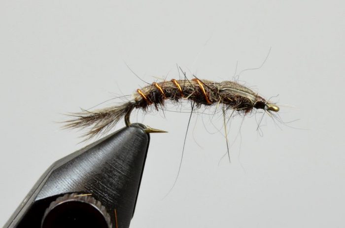 Galloup's Callibaetis Nymph - Image 2