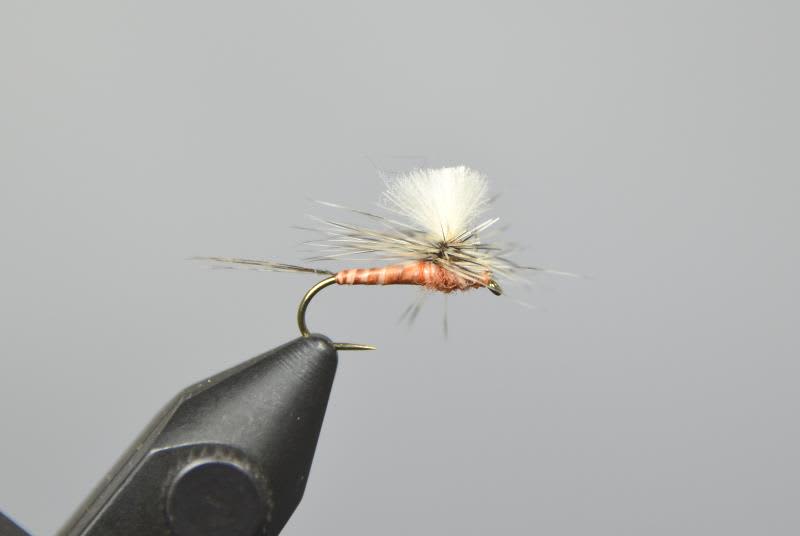 Harrop's CDC Para Spinner - Rusty - Guided Fly Fishing Madison River |  Lodging | Kelly Galloup's Slide Inn