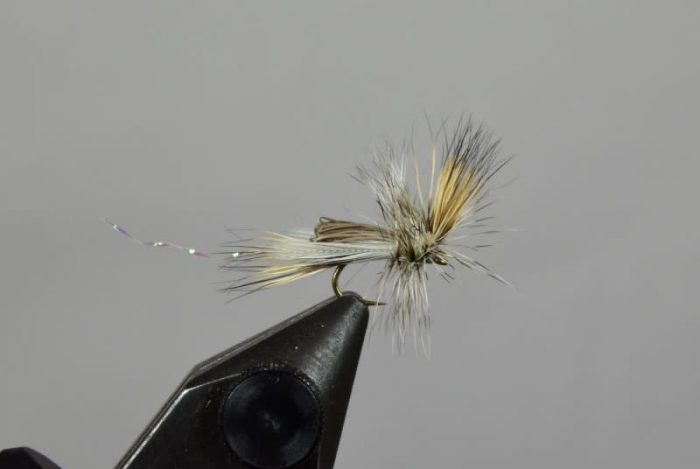 Quigley's Midget Caddis