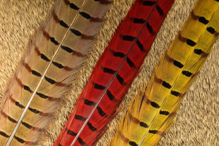 Nature's Spirit Ringneck Pheasant Center Tails