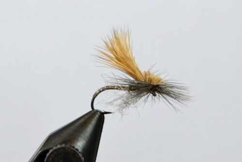 Mercer's Missing Link Caddis