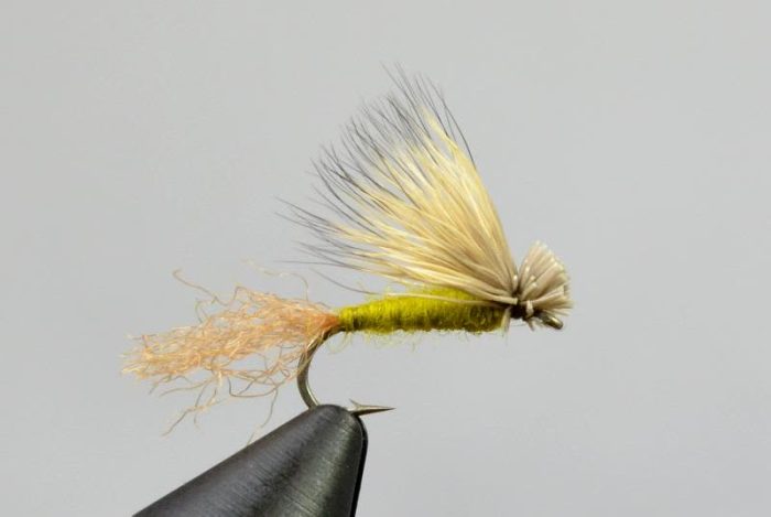 x caddis