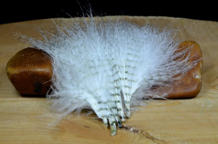 MFC Mini Barred Marabou