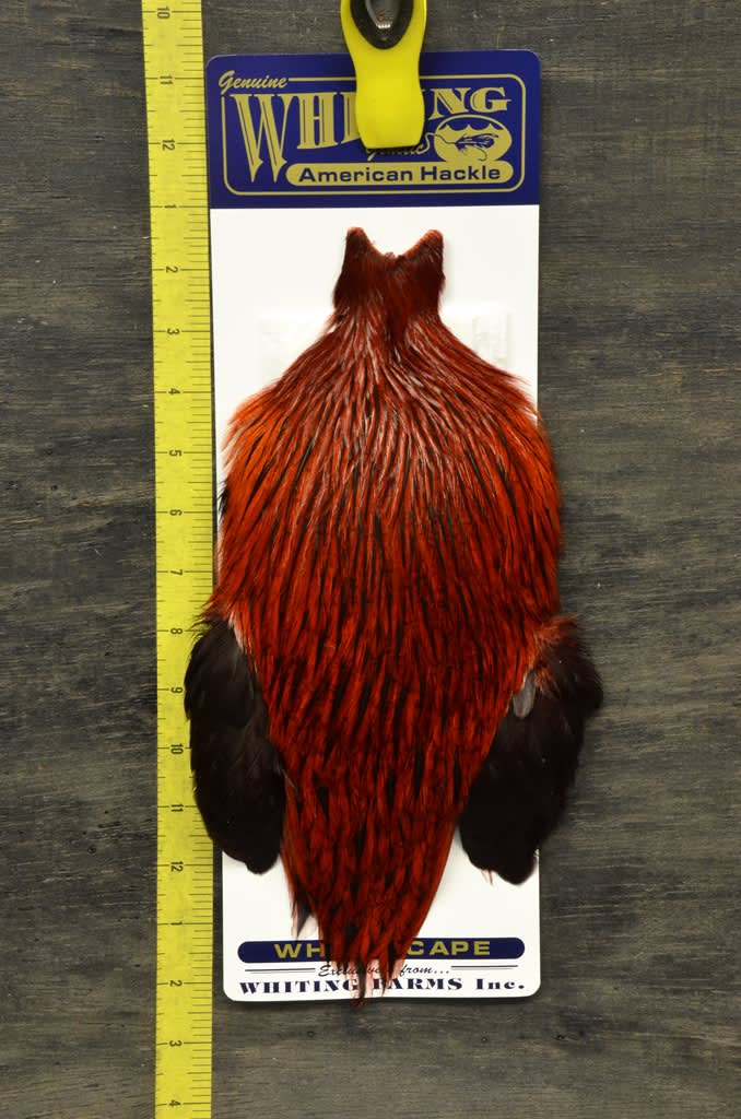 Whiting American Rooster Cape - Badger