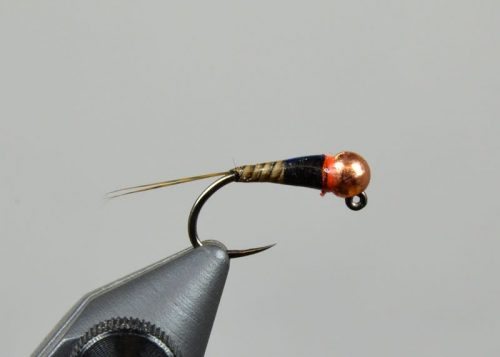 Spanish Bullet - Brown/Black/Hot Orange