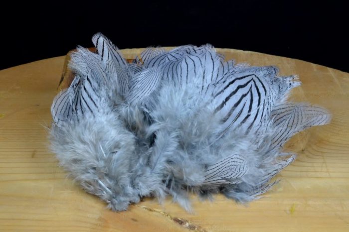 Silver Pheasant Feathers