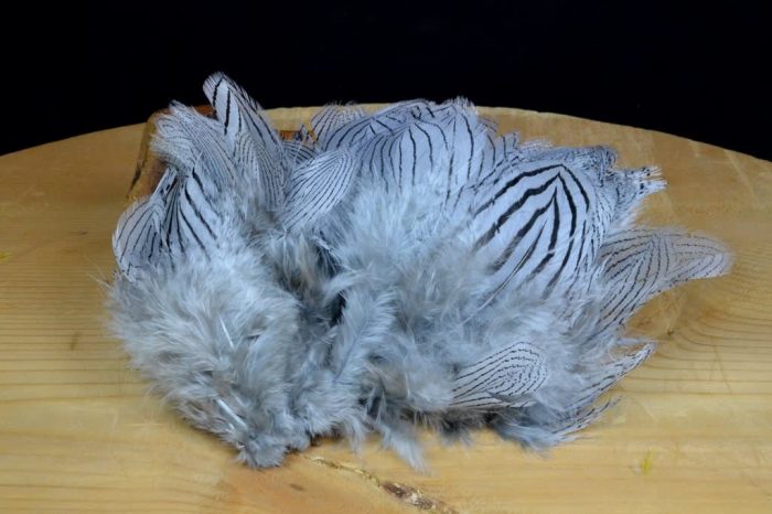 Silver Pheasant Feathers - Image 4