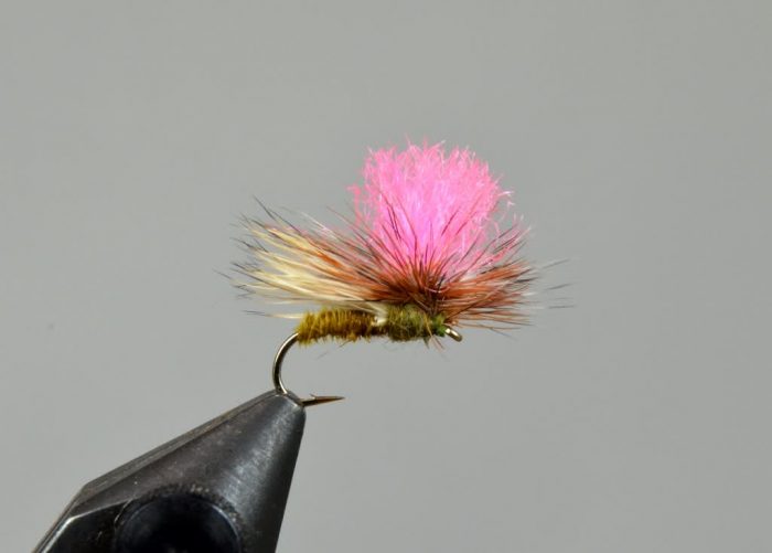 Bloom's Parachute Caddis