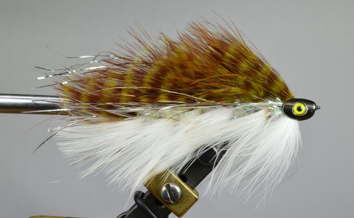 Galloup's Barely Legal Fish Skull - Image 4