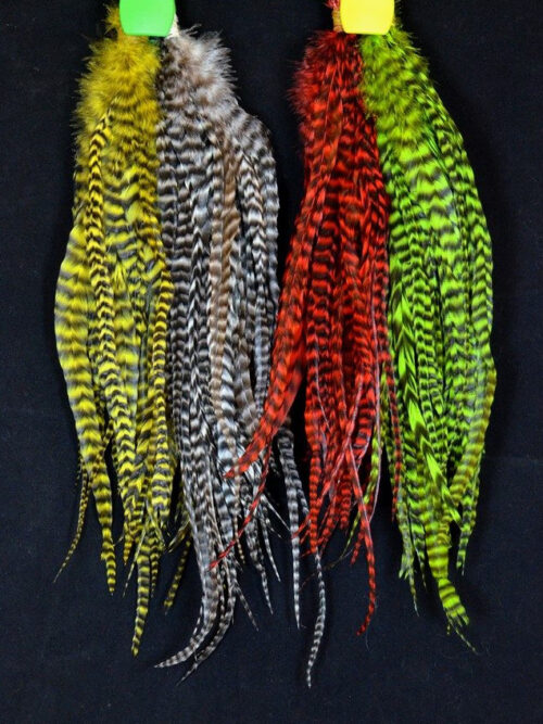 Whiting Schlappen 6-10 Inch Bundle