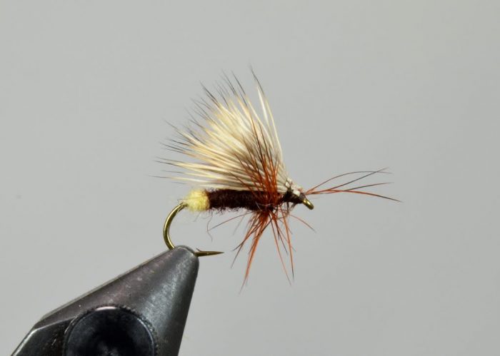 Galloup's Egg Drop Soup Caddis