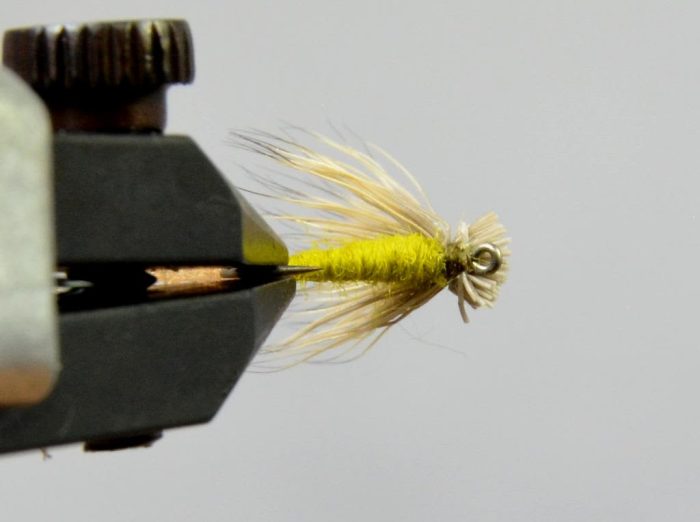 X-Caddis