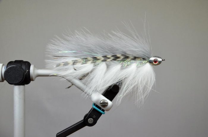 Galloup's Barely Legal Fish Skull - Image 9