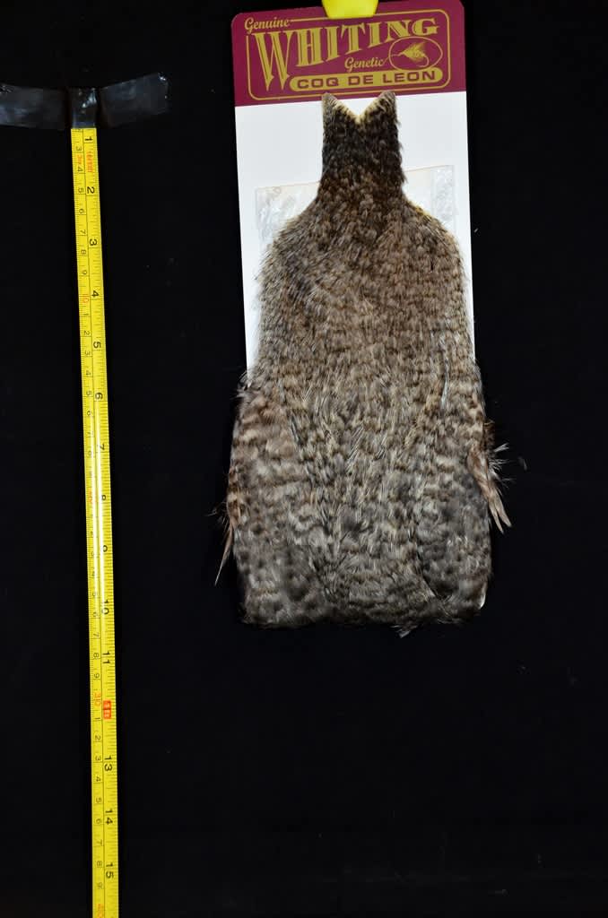 Whiting Coq De Leon Hen Cape for Sale | Slide Inn