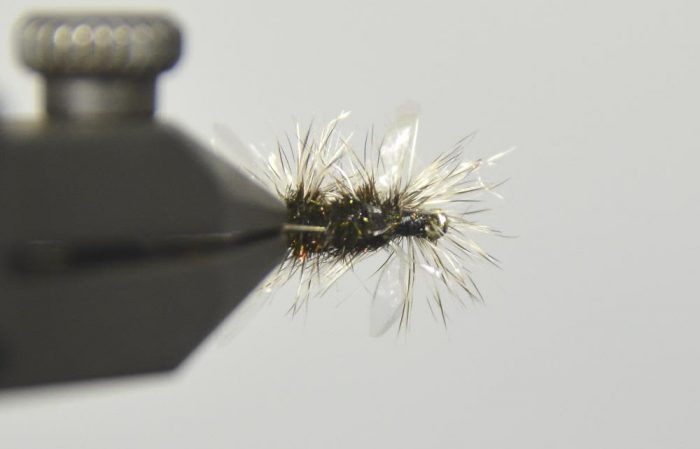 Stalcup's Cluster Midge