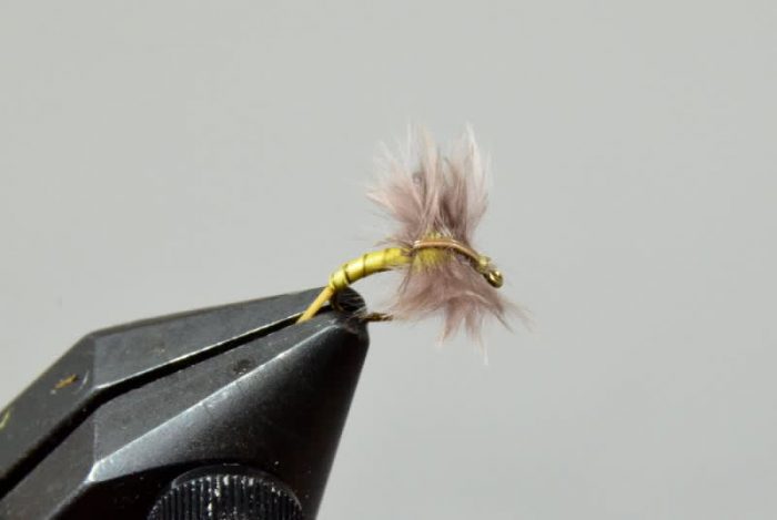 Bat Wing Emerger PMD