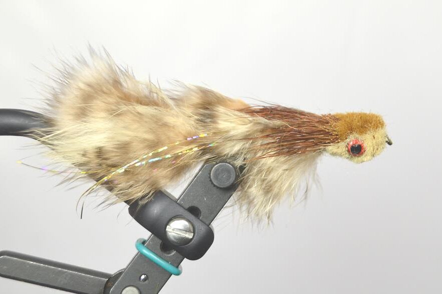 Big Gulp Sculpin - Image 3