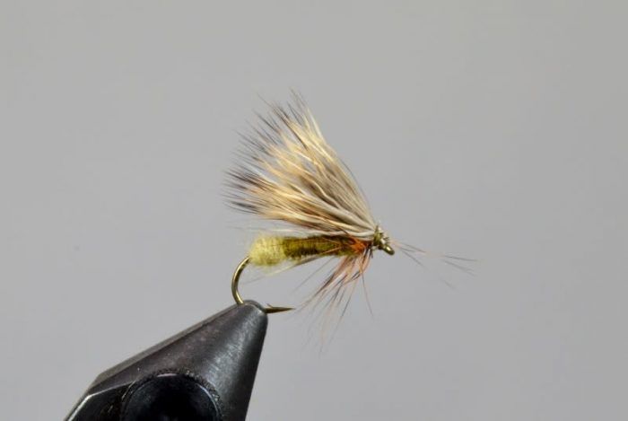 Galloup's Egg Drop Soup Caddis