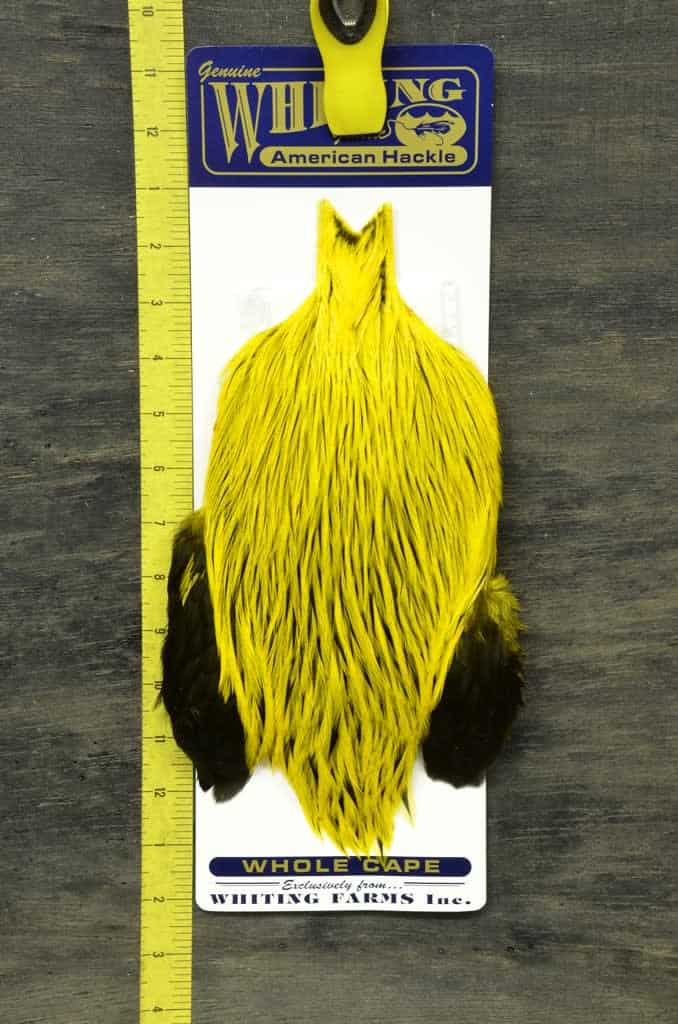 Whiting American Rooster Cape - Badger - Galloup's Slide Inn