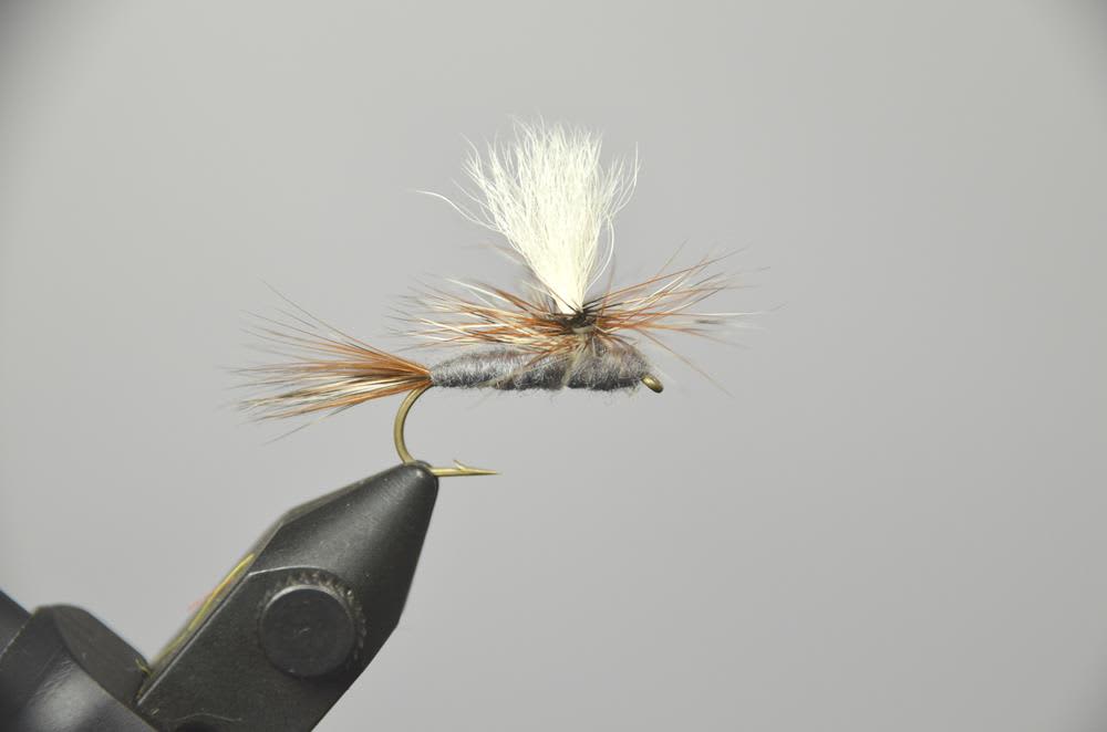 Parachute Adams Dry Fly Pattern for Sale