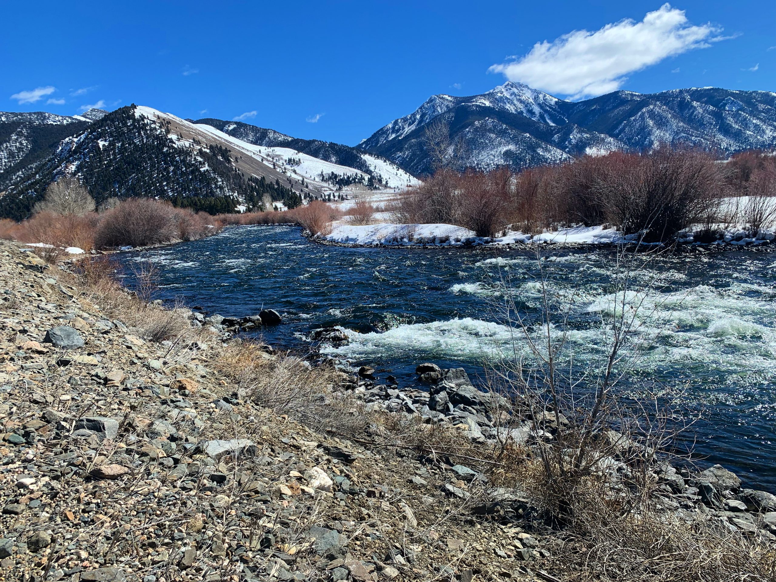 Madison river fishing report 03-23-2022