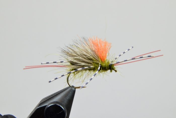Burkus' Sedgeback Skwala