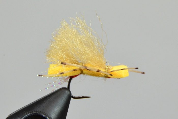 Micro Chubby - Yellow Sally