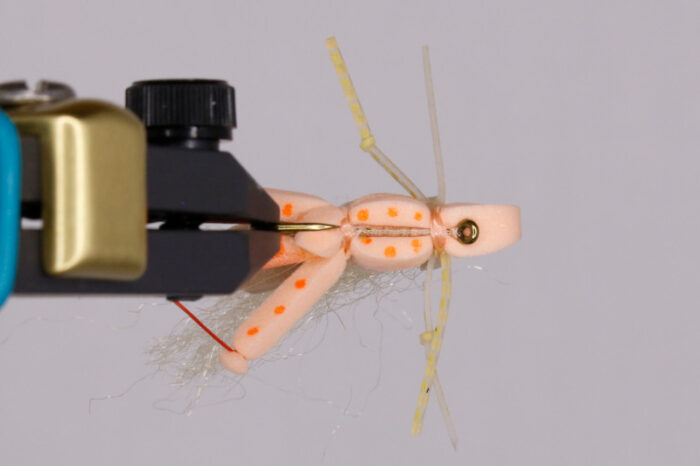 McKight's Thunder Grass Hopper