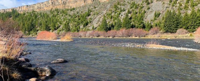madison river fishing report 5-17-22