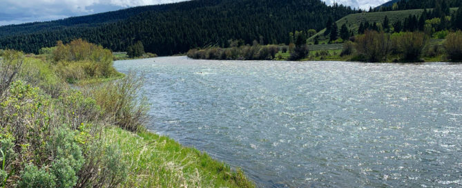 madison river fishing report 6-6-2022