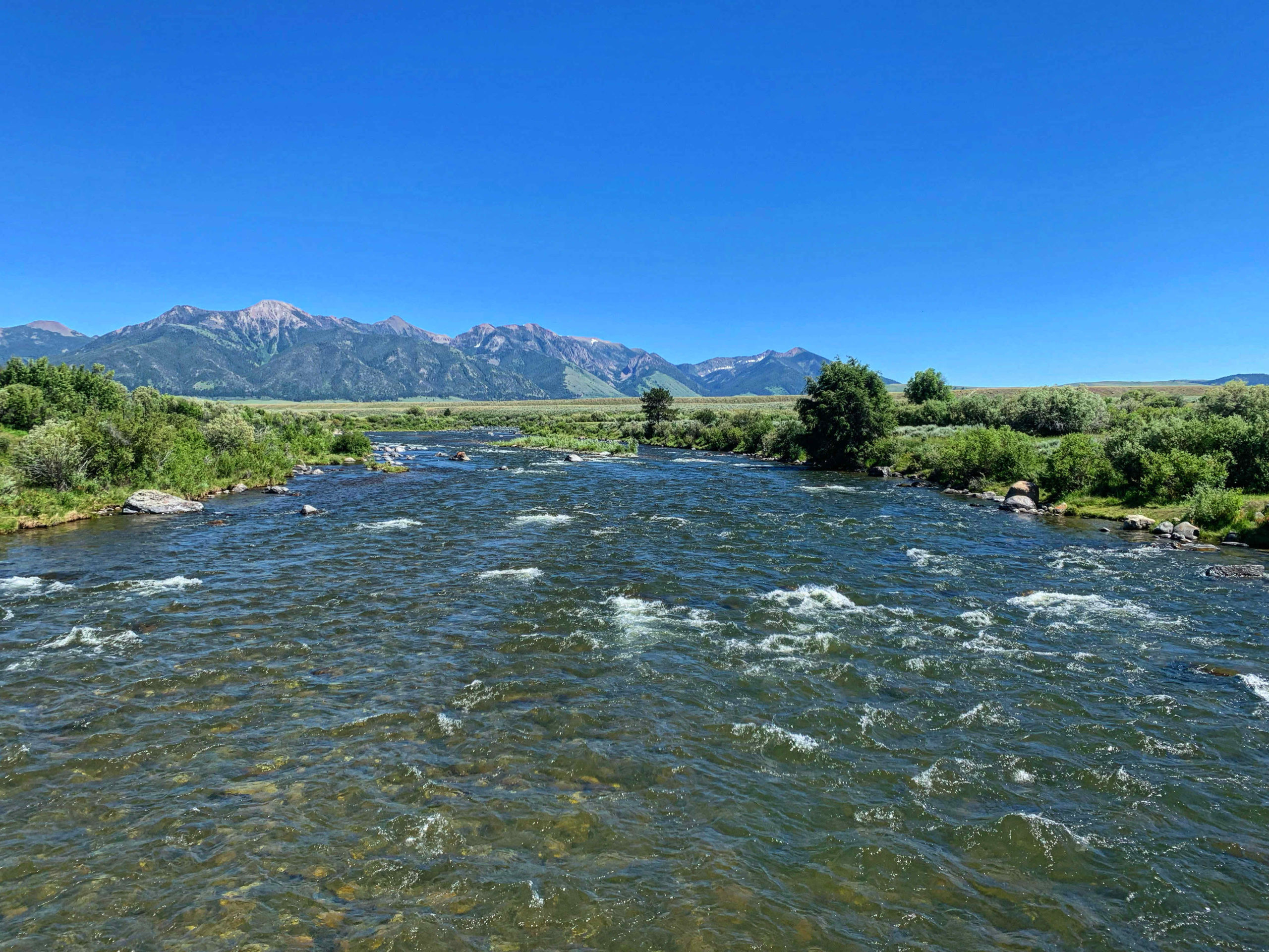 madison river fishing report 7-21-2022