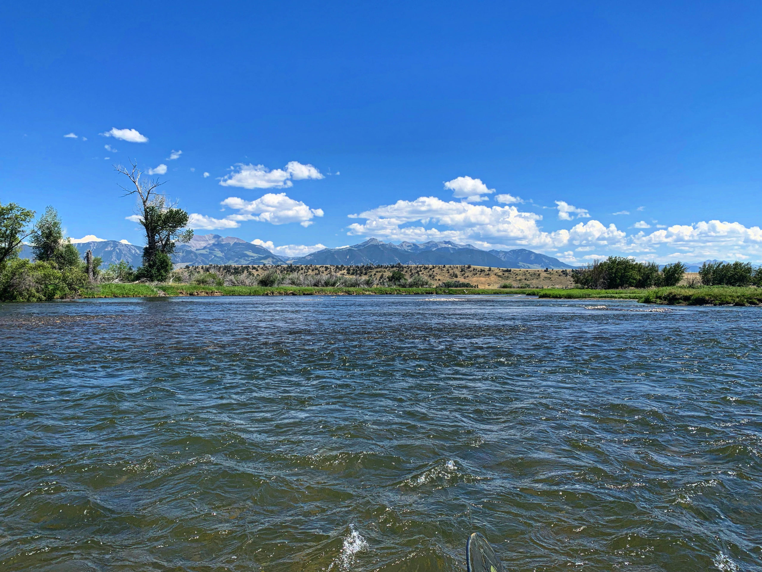 madison river fishing report 7-29-2022