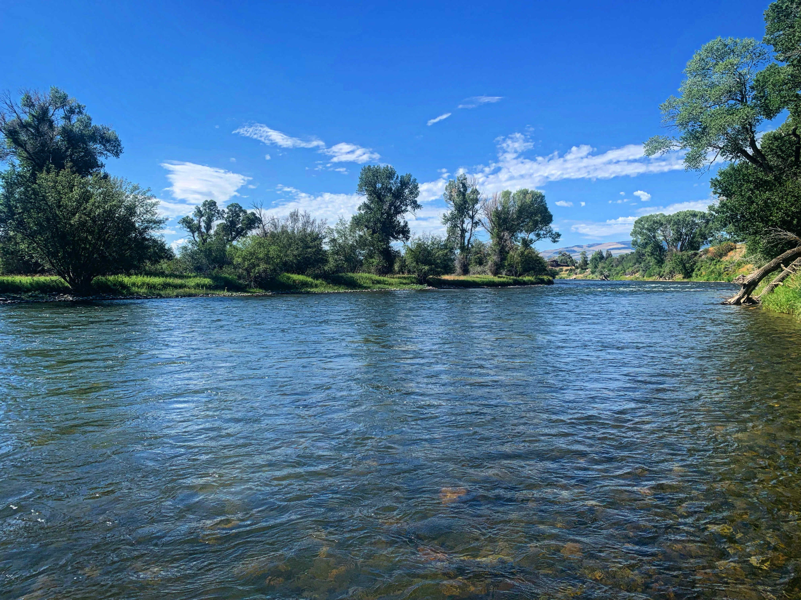 madison river fishing report 8-15-2022