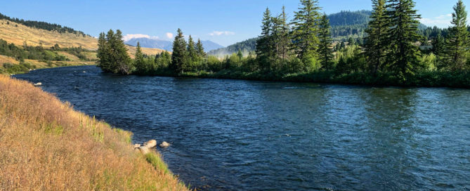madison river fishing report 9-1-22