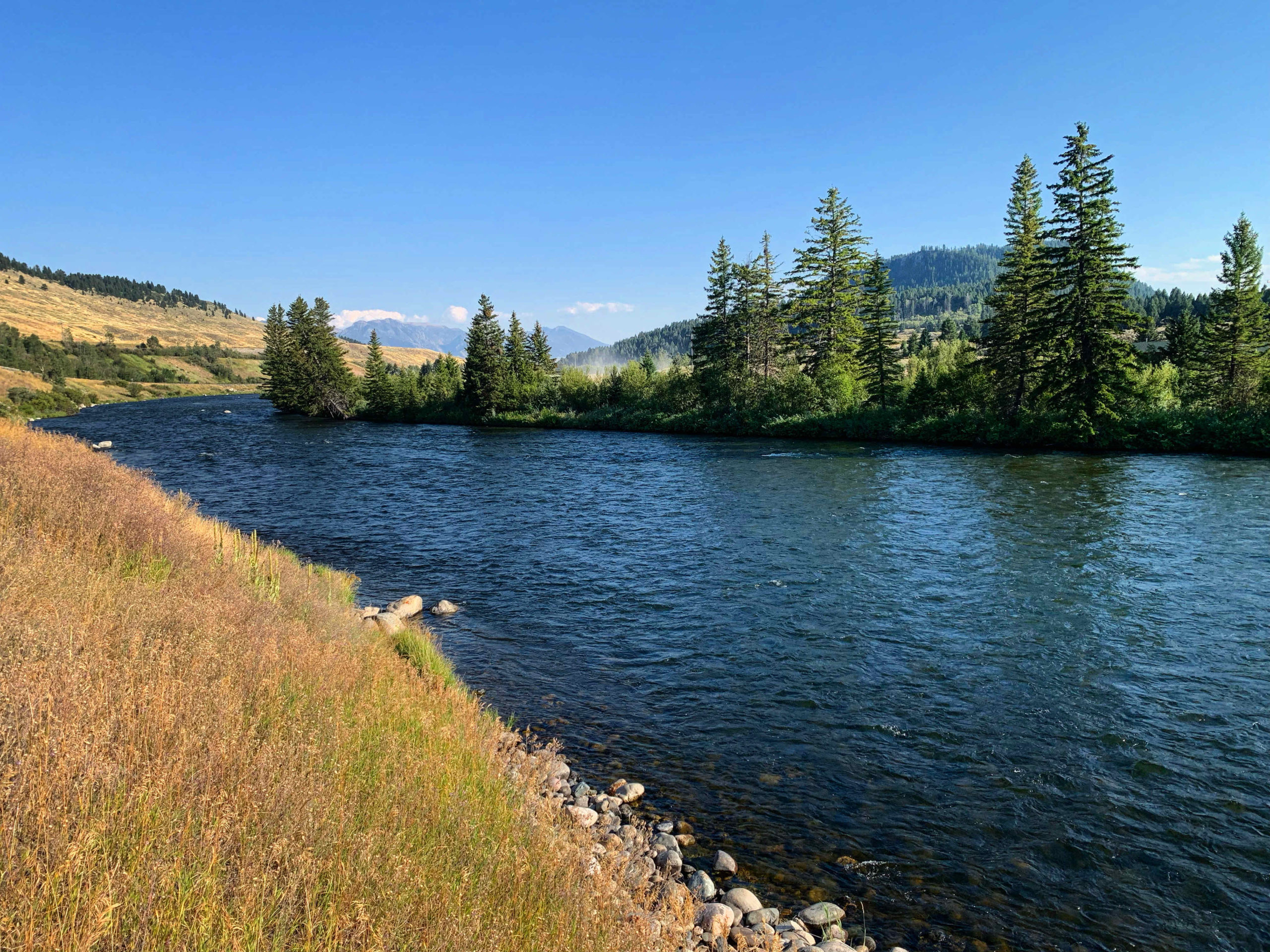 madison river fishing report 9-1-22