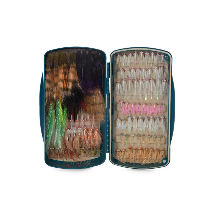 Tacky Pescador - Large - Image 3