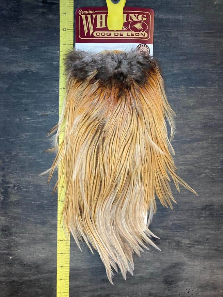 WHITING コックデレオン　未使用 ブロンズ　ROOSTER SADDLE Whiting Coq De Leon Rooster Saddle for Sale | Slide Inn